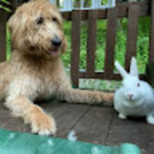 Meet your Posher, Jay franco